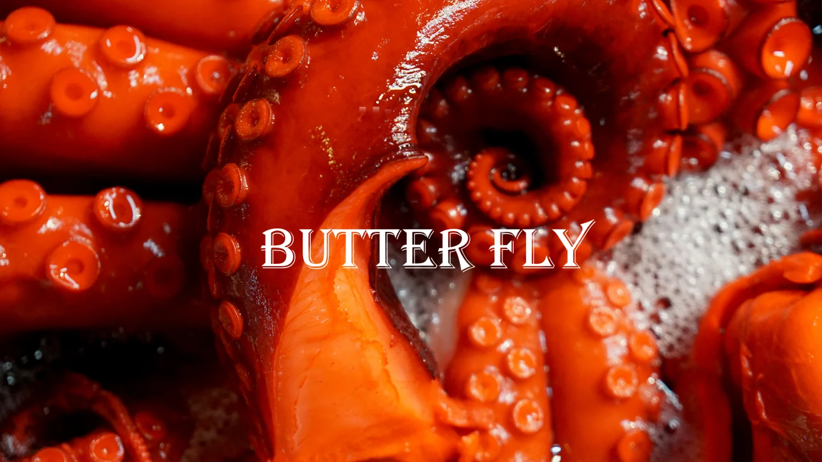 Butterfly — 1 / 20