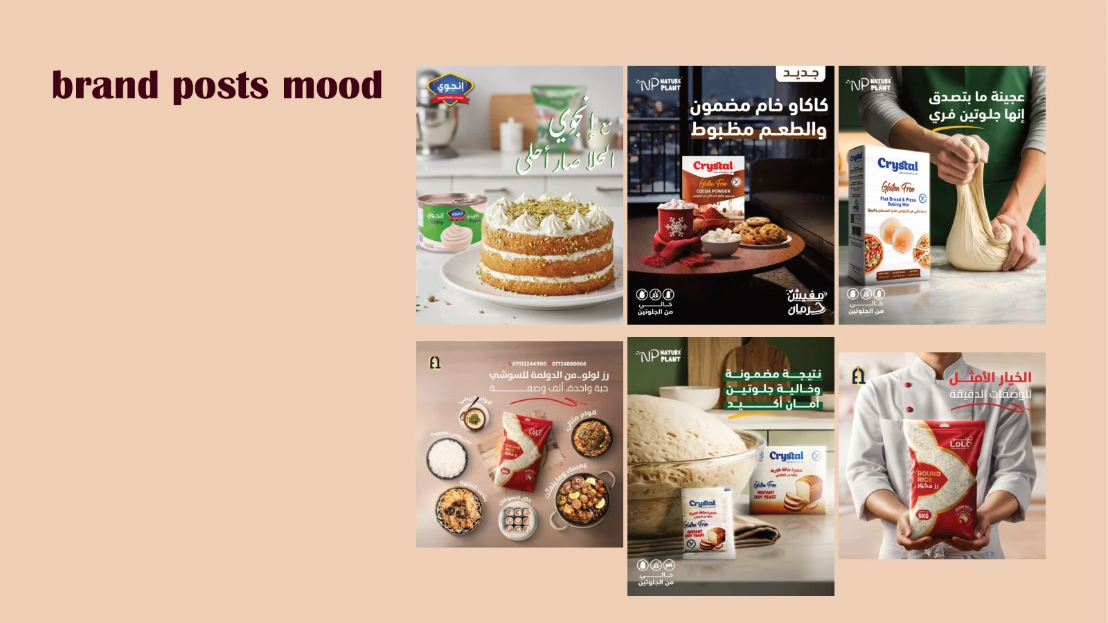 EBN EL Laban — 19 / 21