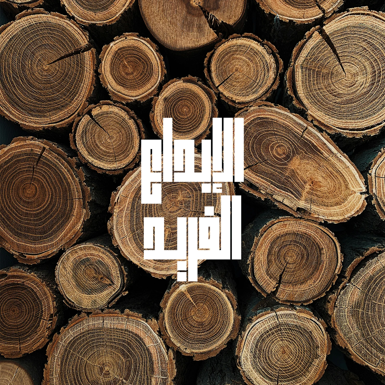 الابداع الفريد — 1 / 11